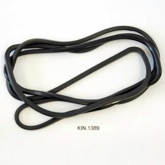 KIN.1389